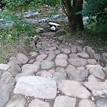 Pensionat Krkonose Mladé Buky