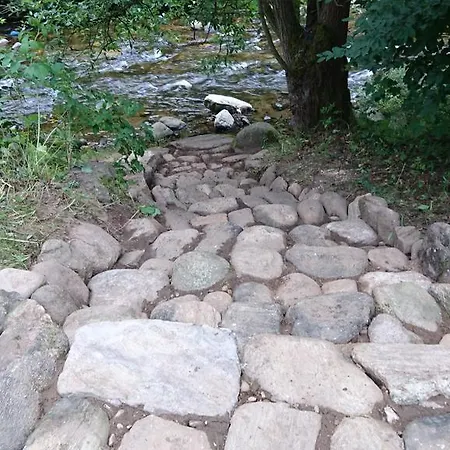 Gæstehus Krkonose Mladé Buky