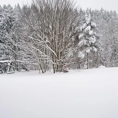Krkonose 4*